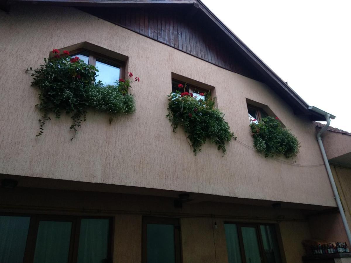Apartmán Casa Charlot Brašov Exteriér fotografie